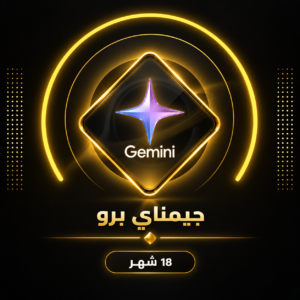 باقة Gemini Pro – 18 شهر
